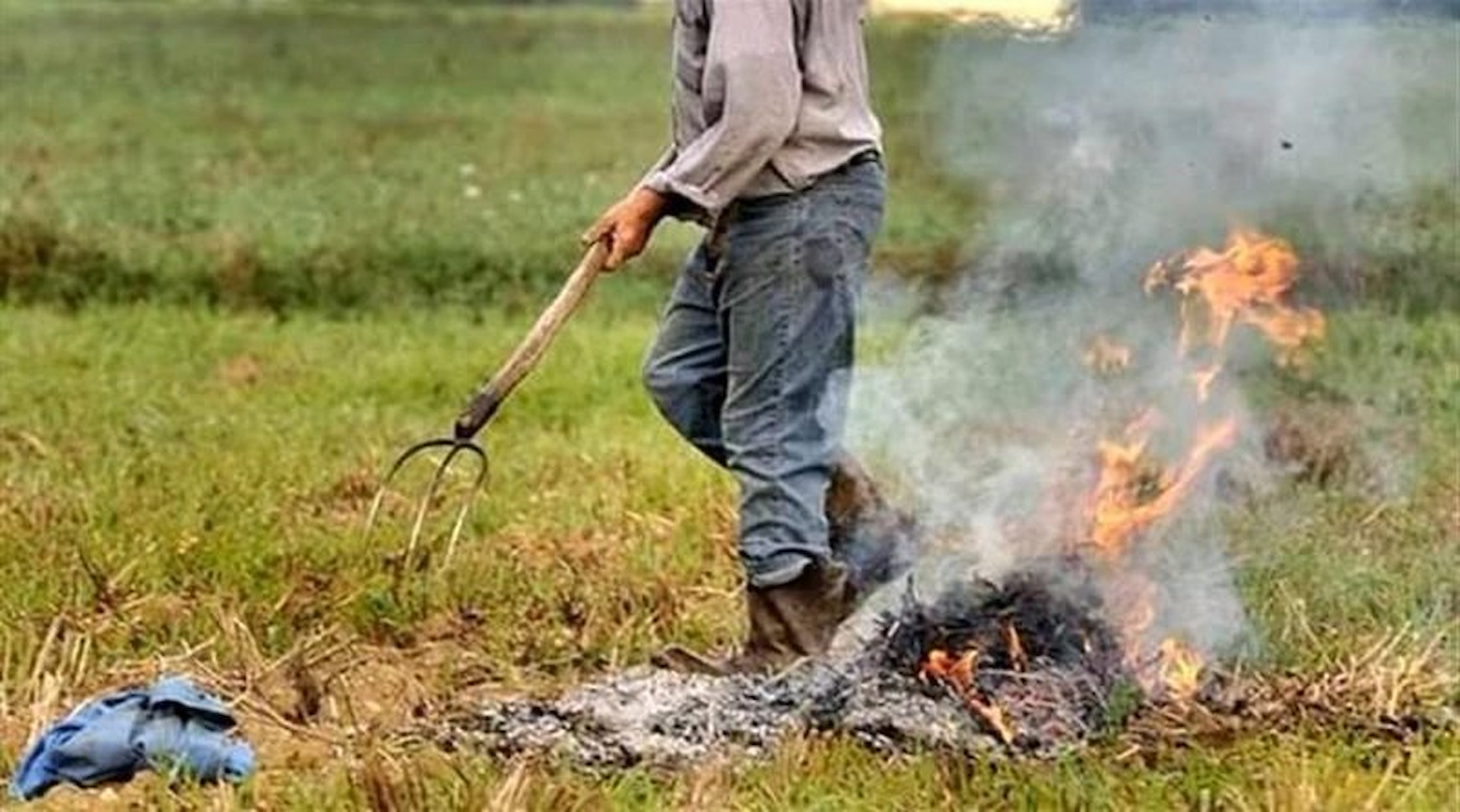 Incendi boschivi