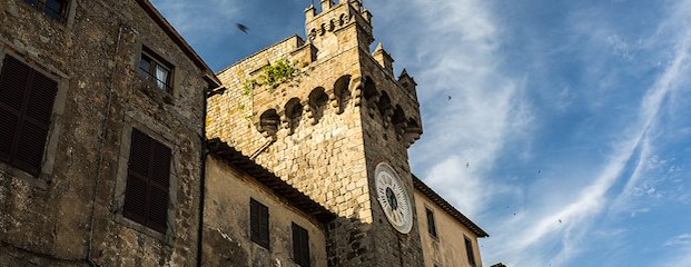 Palazzo Comunale - Palazzo Sforza Cesarini